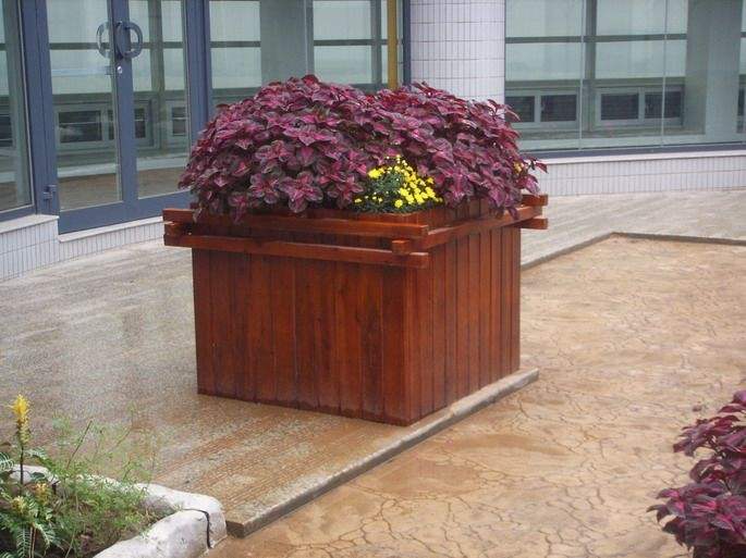 花箱